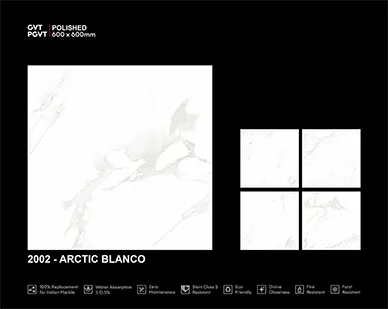 2002 Arctic Blanco